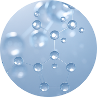 トルラ酵母 120mg